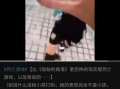邪恶视频,邪恶视频背后的惊人真相